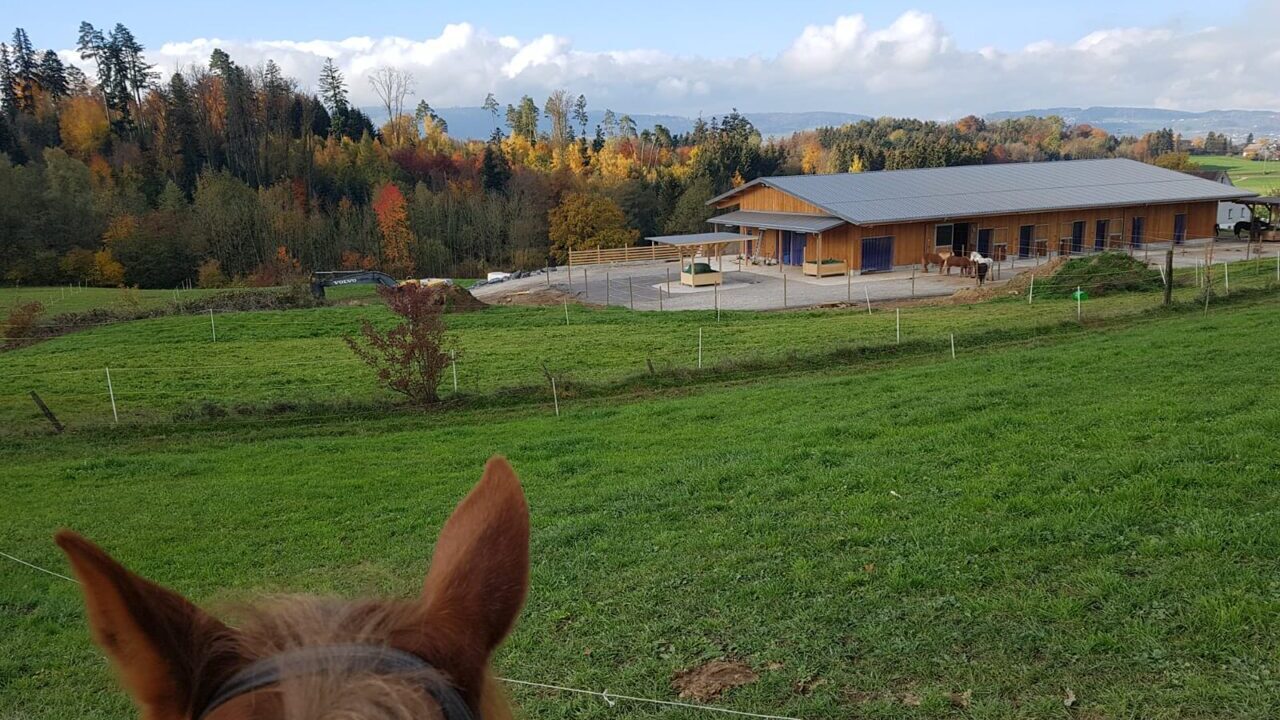 Pferdestall Langfuhr in Gossau/ZH Slide 1