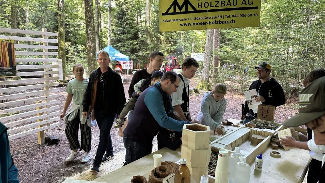 Rückblick: Tag des Schweizer Holzes 2025  Slide 4