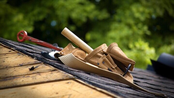 Bild zum Text: Das richtige Holz
