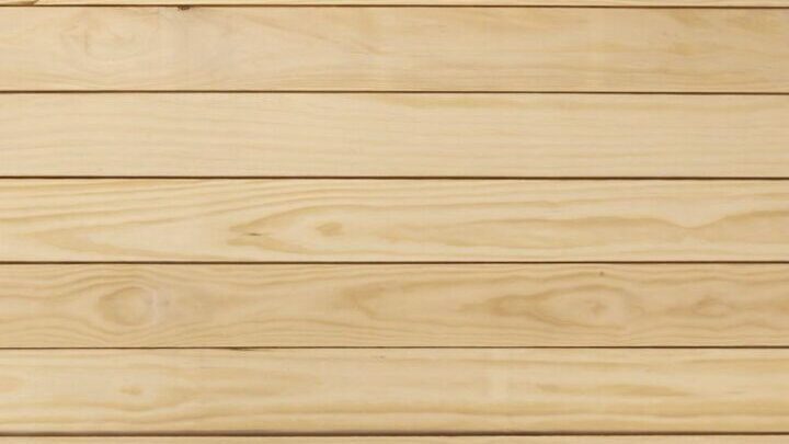 Bild zum Text: Accoya